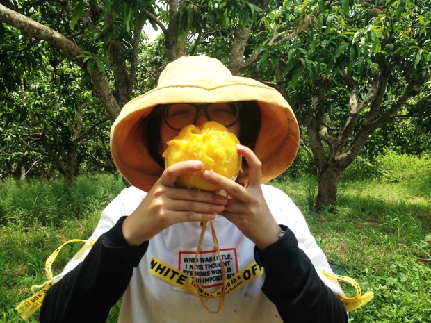 Bundy Special mangoes best tasting